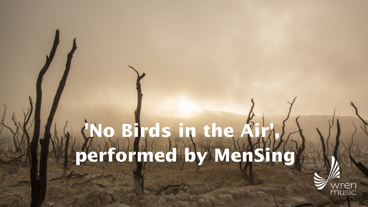 ‘No Birds in the Air’, performed by MenSing