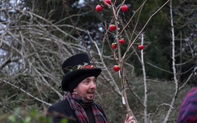 Three cheers to Okehampton community wassail! Sunday 12 January 2025