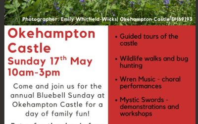 Bluebells Sunday