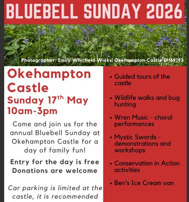 Bluebells Sunday